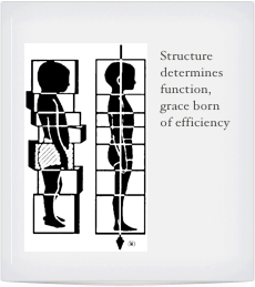 ￼
Structure determines function, grace born of efficiency